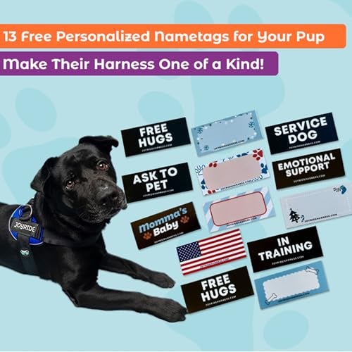 Joyride Harness 2.0 - The Original Side Ring No Pull Dog Harness - No Choke, Escape Proof, Reflective, 3 Leash Clips, Quick Fit Pet Vest - Easy Walks & Training - for Small, Medium & Large Dogs - Image 4