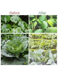 Generic Insect Protection Netting for Garden - 2.5M x 6M Mesh Cover for Vegetables, Fruits, Flowers, and Crops - Effective Plant Shielding Grow Tunnel Netting.  - Image 4