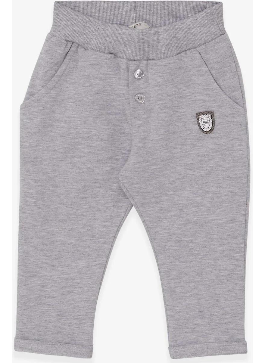 Breeze Breeze Baby Boy Sweatpants Coat of Arms Basic Light Gray Melange (9 Months-3 Years)