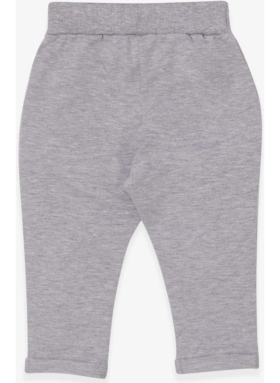 Breeze Breeze Baby Boy Sweatpants Coat of Arms Basic Light Gray Melange (9 Months-3 Years)