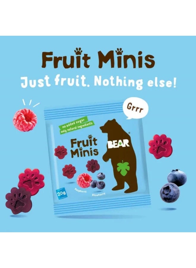 بير قطع فواكه صغيرة بنكهة التوت البري والتوت الأزرق، مكونات طبيعية 100%، بدون إضافة سكر، 5 × 20 غرام - Image 4
