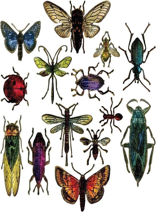 Sizzix Framelits Die Set Entomology by Tim Holtz (14-Pack), Multicolor - Image 2