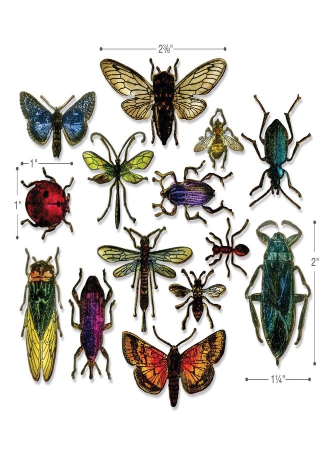 Sizzix Framelits Die Set Entomology by Tim Holtz (14-Pack), Multicolor - Image 3