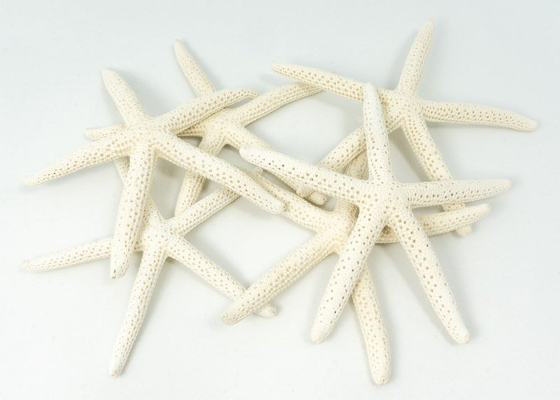 Nautical Crush Trading Starfish Decor  Star Fish for Craft  6pk Real 34 White Sea Stars  Beach Wedding Decor  Coastal Party Decorations  Seashell Decor 