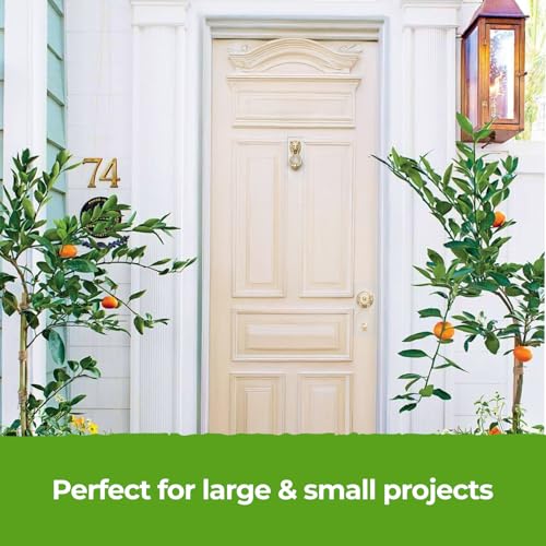 THE ONE All-In-One Paint & Primer - Cream Satin, 33.8 Fl Oz/1 Liter | 1 Coat Formula | Easy Indoor & Outdoor Decorating for Home & Garden Walls, Floors & Furniture | Water-Based & Low VOC - Image 5