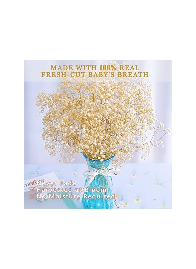 erorex Dried-Babys-Breath-Flowers-Bouquet, 17.2 inch 2500+ Ivory White Flowers, Natural Gypsophila Branches for Home Decor, Gift for Mother, Dry Flowers Bulk for Vase, Wedding, DIY, Party (3oz)  - Image 3