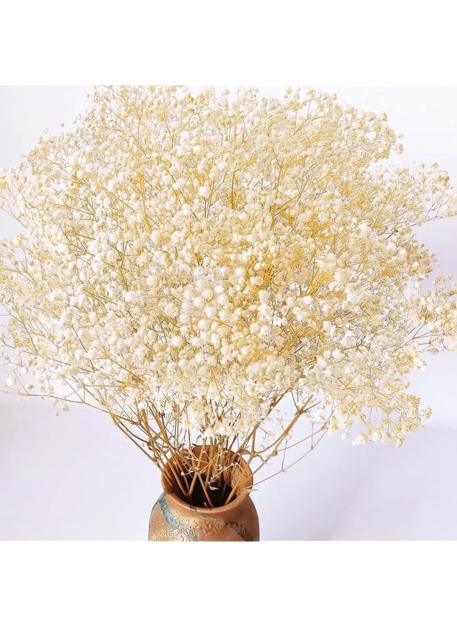 erorex Dried-Babys-Breath-Flowers-Bouquet, 17.2 inch 2500+ Ivory White Flowers, Natural Gypsophila Branches for Home Decor, Gift for Mother, Dry Flowers Bulk for Vase, Wedding, DIY, Party (3oz)  - Image 1