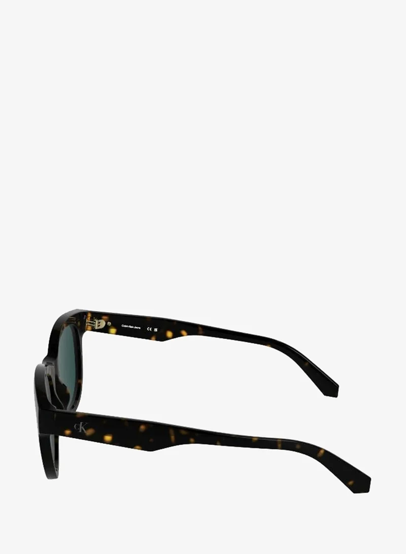 Calvin Klein Jeans  Full Rim Round Sunglasses for Women | Best Price UAE