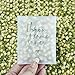 Rainbow Pana 50 Pack Prefilled Confetti Packets Biodegradable Confetti Dried Flower Petals Real Flower Petals to Throw at Wedding Glassine Bags Rose Wedding Send Off Ideas - Image 3