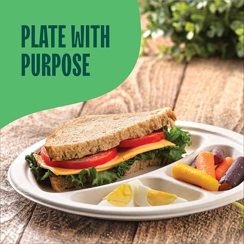 Stack Man 100% Compostable, 3 Compartment, Disposable Paper Plates [125-Pack] - {PFAS Free} - {BPA Certified} - [9 Inch] Heavy Duty Biodegradable Bagasse Sectional Lunch Trays + Dividers - Divided Platte Tray - Image 3