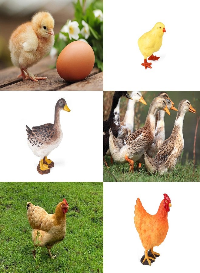 SCAHOW Farm Animal Toys for Kids 3 4 5 6 7 Years Old, Realistic Barn Farm Animal Figurines with Hen Duck Goose Figures,Educational Poultry Farm Playset for Birthday Gift Cake Topper - Image 5