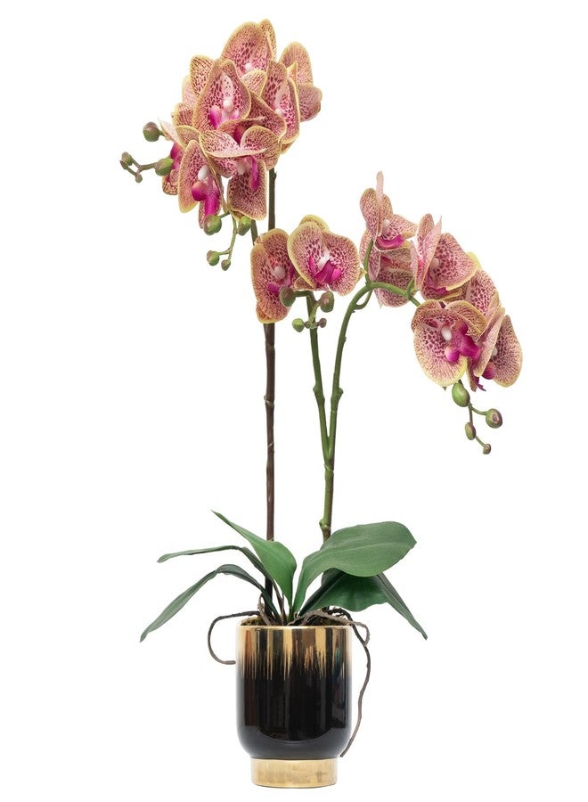 CXGS Orchids Artificial Flowers Real Touch Fake Flowers in Ceramic Pot 20" Purple Dapple Faux Orchid Plant Lifelike Silk Phalaenopsis for Centerpiece Hotel Home Indoor Decor - Image 1