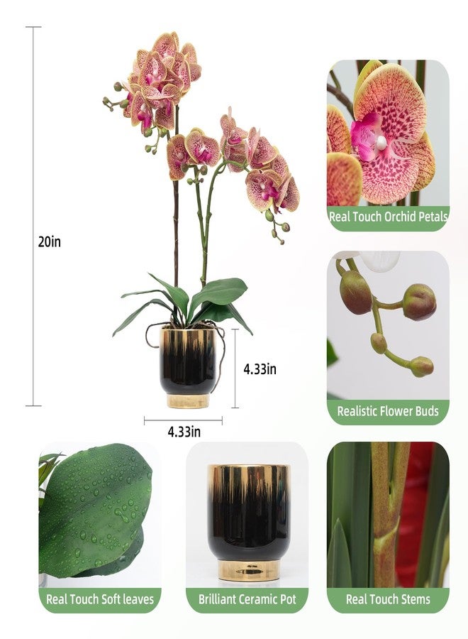 CXGS Orchids Artificial Flowers Real Touch Fake Flowers in Ceramic Pot 20" Purple Dapple Faux Orchid Plant Lifelike Silk Phalaenopsis for Centerpiece Hotel Home Indoor Decor - Image 2