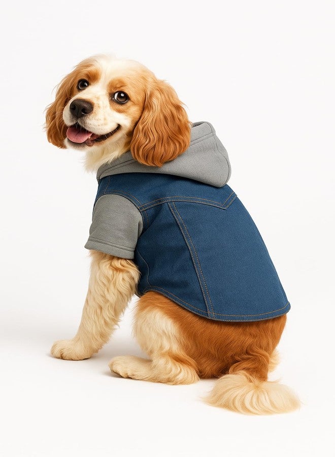 PawCloud Dog Denim Jacket with Hoodie | All-Season Soft, Stylish Dog Hoodie Jacket for Small, Medium & Large Breeds | X - Large (XL) - 20 inch - Image 3