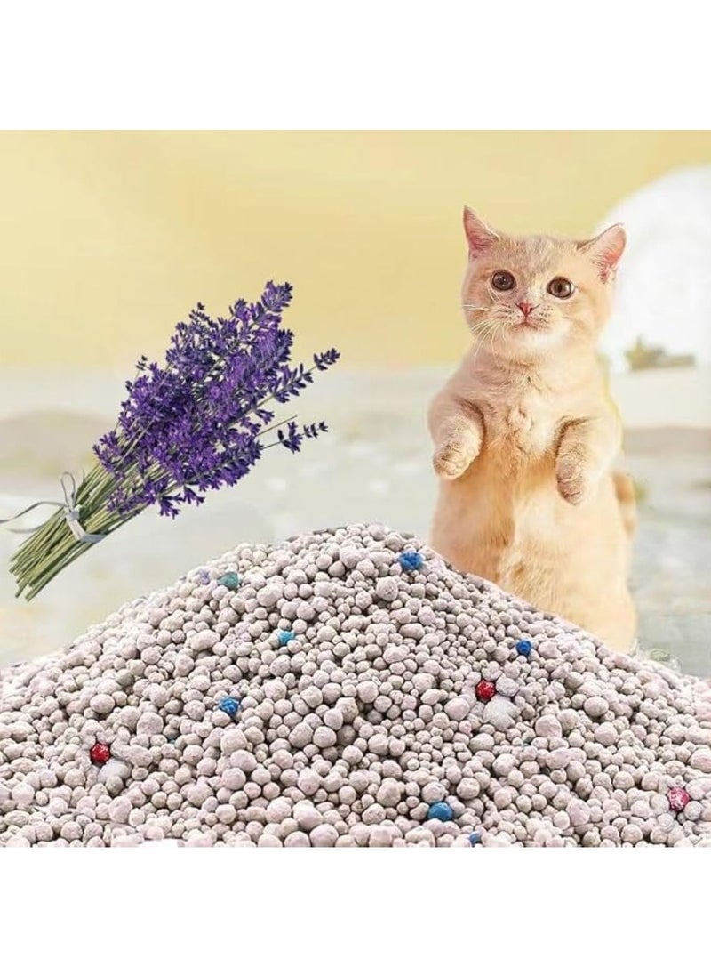 Cat Litter, Fast Clumping, Dust-Free, Superior Odor Control, Antibacterial Protection, Safe for Pets and People (10L Lavender) - pzsku/Z7BB1AFCAC03821FC1FD6Z/45/_/1737977775/91dff05e-3cb2-4edc-8213-7a67e659b893