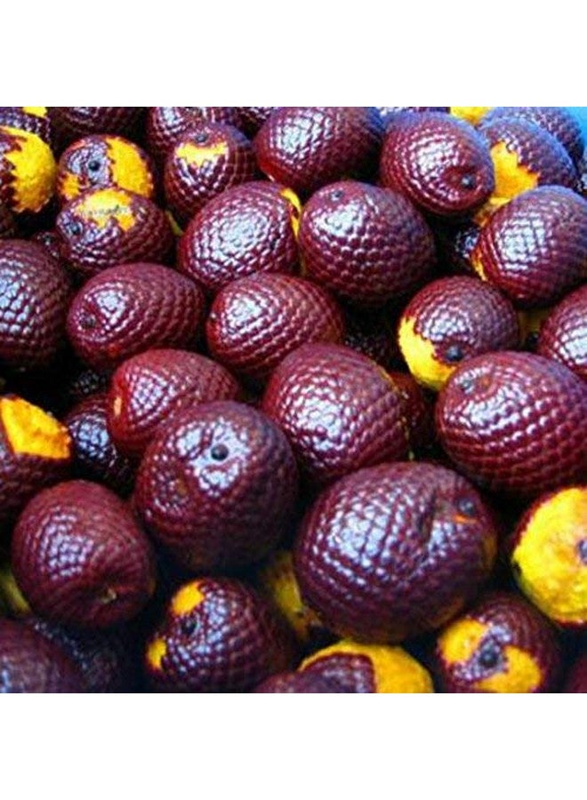 Sweet Essentials 100% Organic Buriti (Aguaje) Fruit Oil | Imported From Brazil | 2Oz Glass Bottle With Glass Dropper | 100% Pure | Coldpressed | Natural Moisturizer For Skin Hair And Face - Image 2