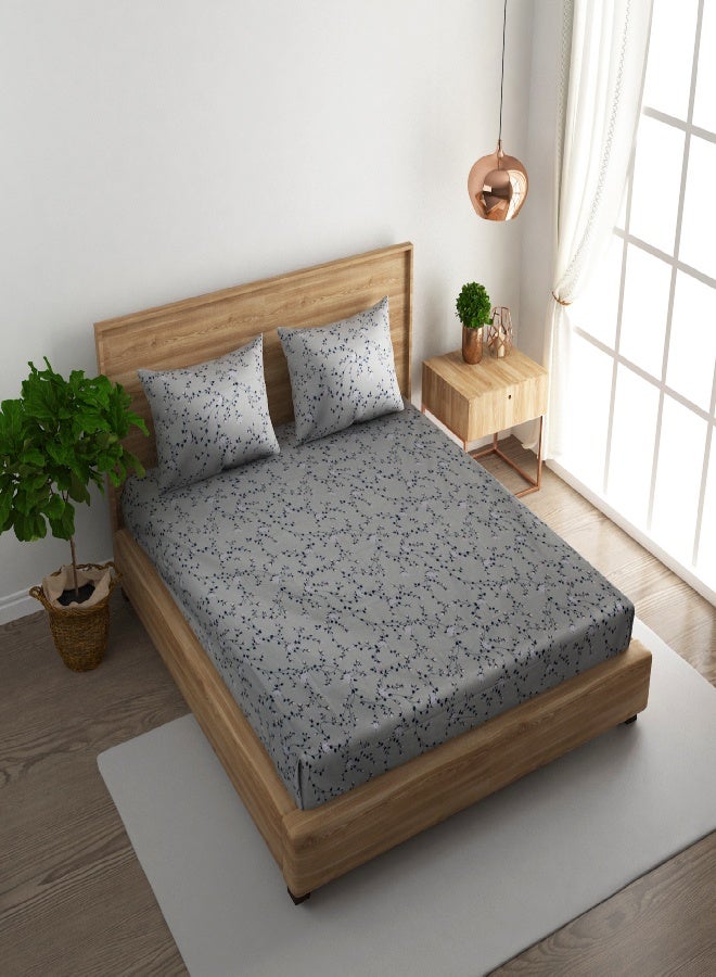 RISHAHOME 3-Piece 180 TC Printed Cotton Bedsheet Set Queen Size – Premium Collection with 2 pillow cases - Image 2