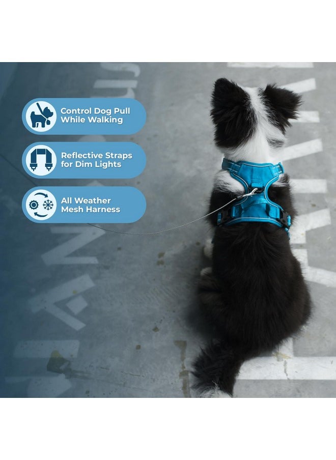 VOYAGER Voyager Dog Harness Dual Leash Attachment No-Pull Control Adjustable Soft but Strong Pet Harness for Medium and Large Dogs with 3M Reflective Technology - Harness Leash Set (Turquoise), XL  - Image 5