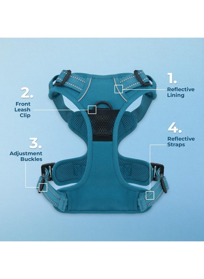 VOYAGER Voyager Dog Harness Dual Leash Attachment No-Pull Control Adjustable Soft but Strong Pet Harness for Medium and Large Dogs with 3M Reflective Technology - Harness Leash Set (Turquoise), XL  - Image 2