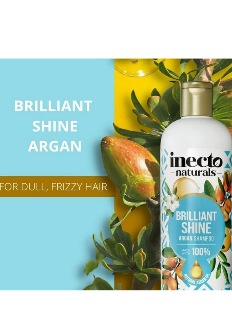 Inecto Naturals Super Shine Argan Shampoo 500 ML  - Image 2