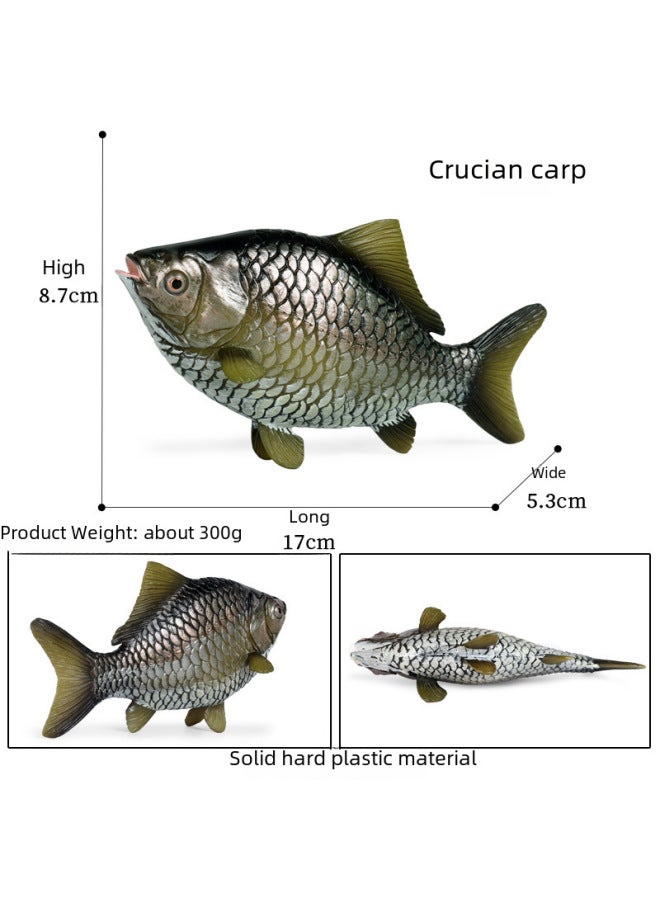 Realistic Animal Plant Simulation Models Toys-Color:M-1280 Tilapia - Image 5
