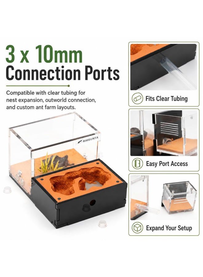 Rimsunta Formicarium - Ant Farm Habitat for Live Ants & Queen, Adult Educational Kit for Ant Behavior Study and Learning - Image 4