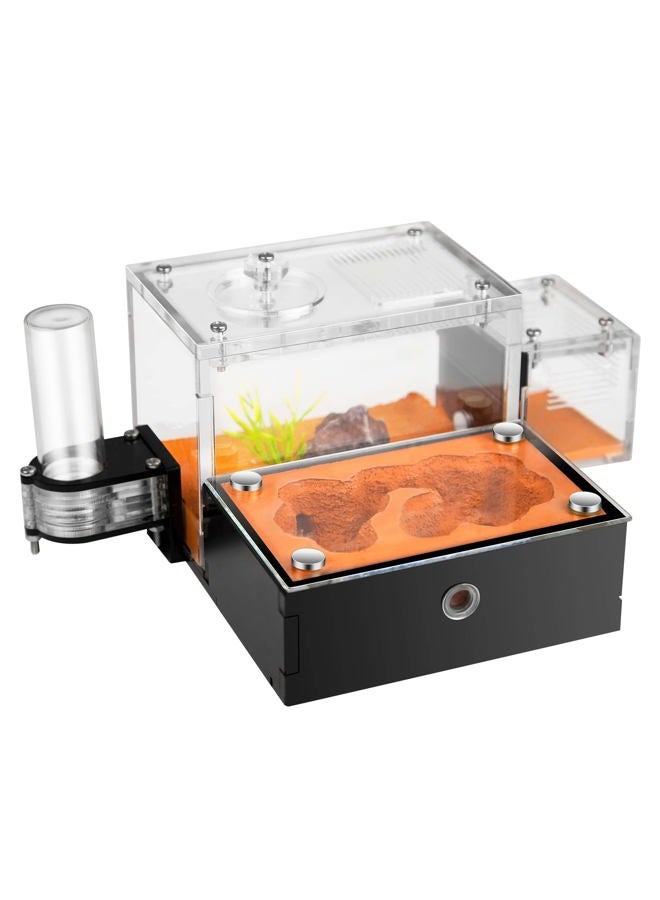 Rimsunta Formicarium - Ant Farm Habitat for Live Ants & Queen, Adult Educational Kit for Ant Behavior Study and Learning - Image 1