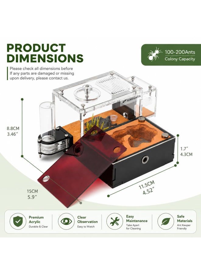 Rimsunta Formicarium - Ant Farm Habitat for Live Ants & Queen, Adult Educational Kit for Ant Behavior Study and Learning - Image 2