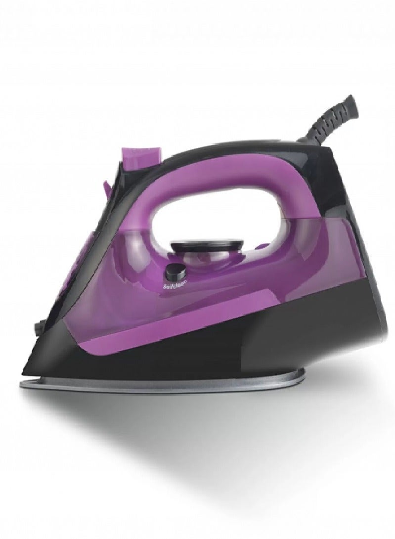 Steam Iron 