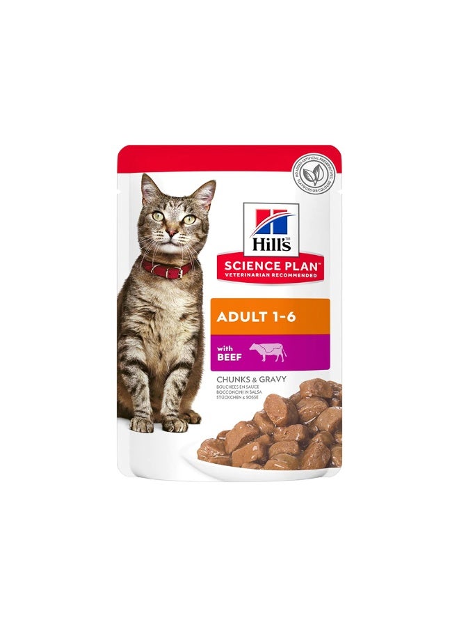 Hill's طعام القطط الرطب للبالغين من هيلز - أكياس لحم البقر 85 جرام