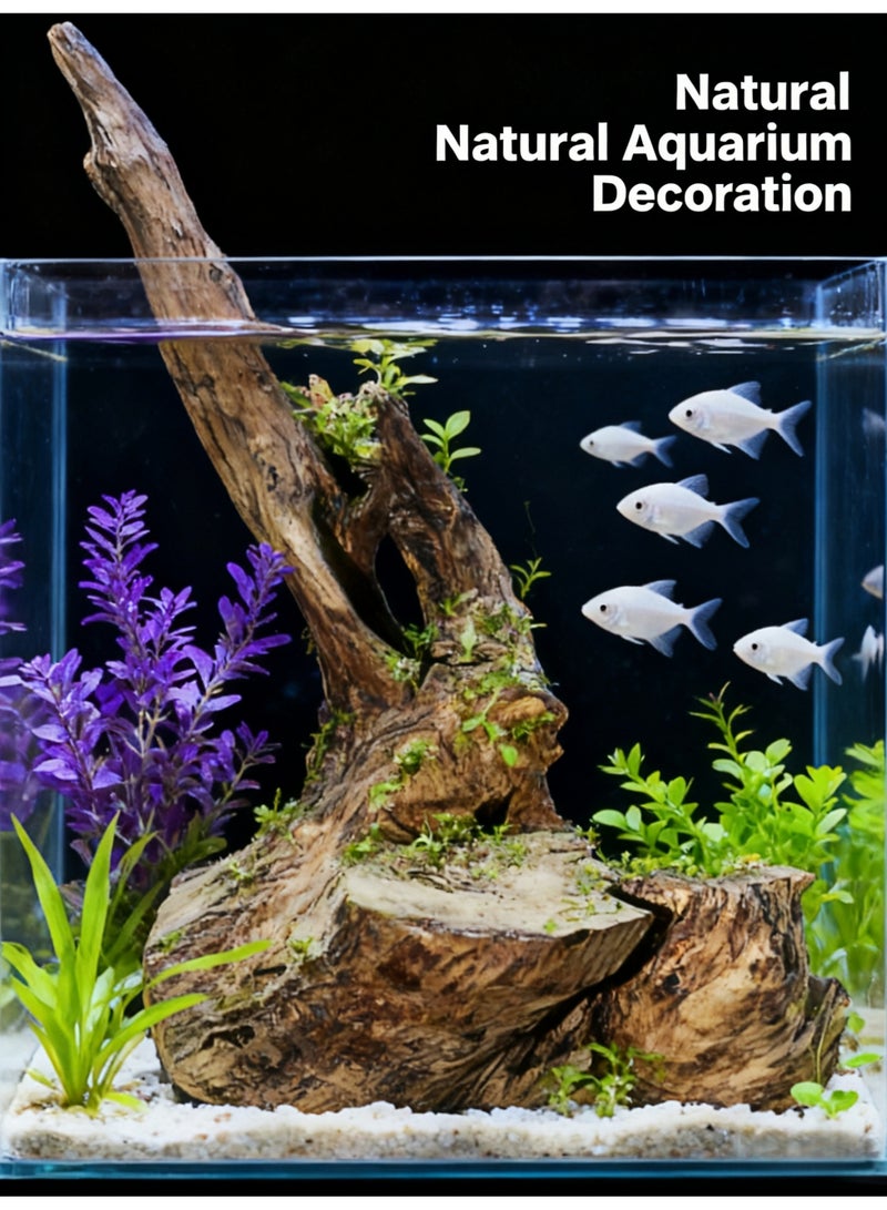 ديكور حوض السمك من جذر شجرة طبيعية بطول 60 سم من خشب الطفو الممتاز لأحواض الأسماك والتراريوم والمنزل والمكتب، ديكور فني خشبي ريفي فريد من نوعه - Image 2