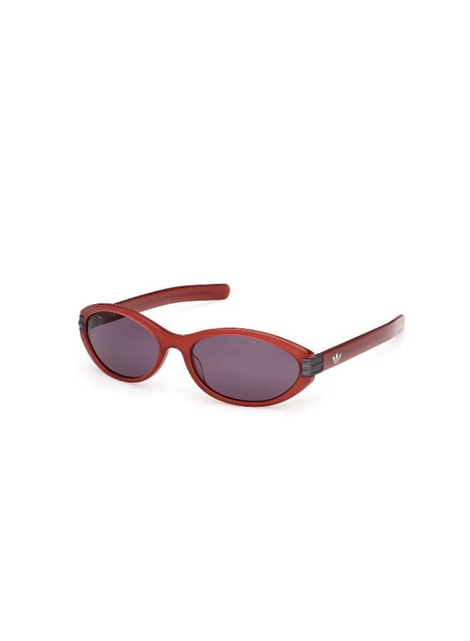 Adidas Wayfarers Sunglasses