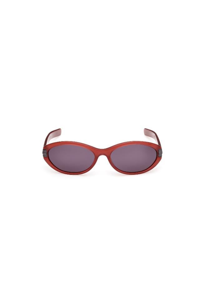 Adidas Wayfarers Sunglasses - Image 5