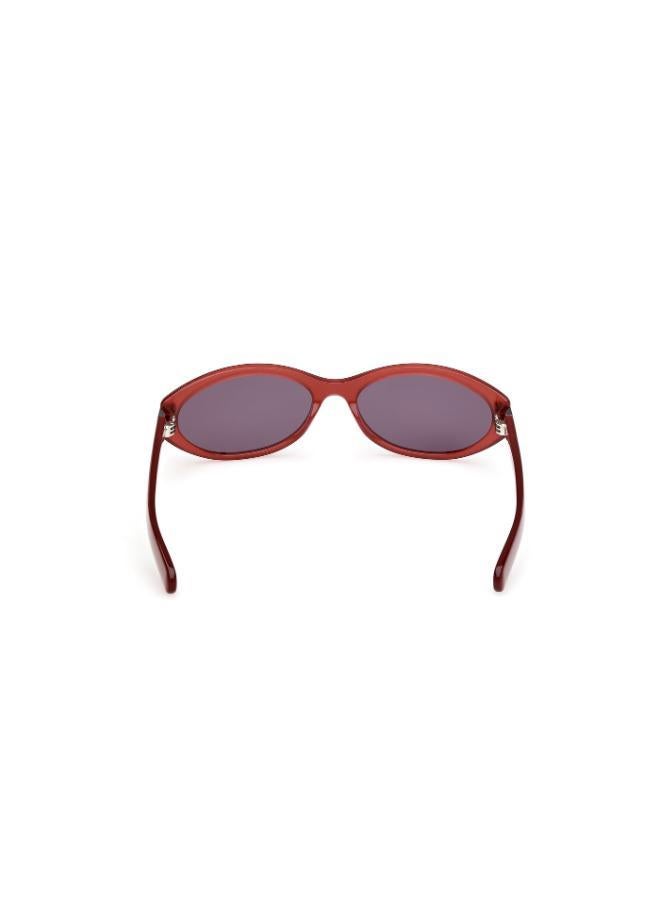 Adidas Wayfarers Sunglasses - Image 3