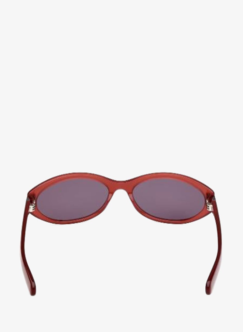 Adidas Wayfarers Sunglasses - Image 3