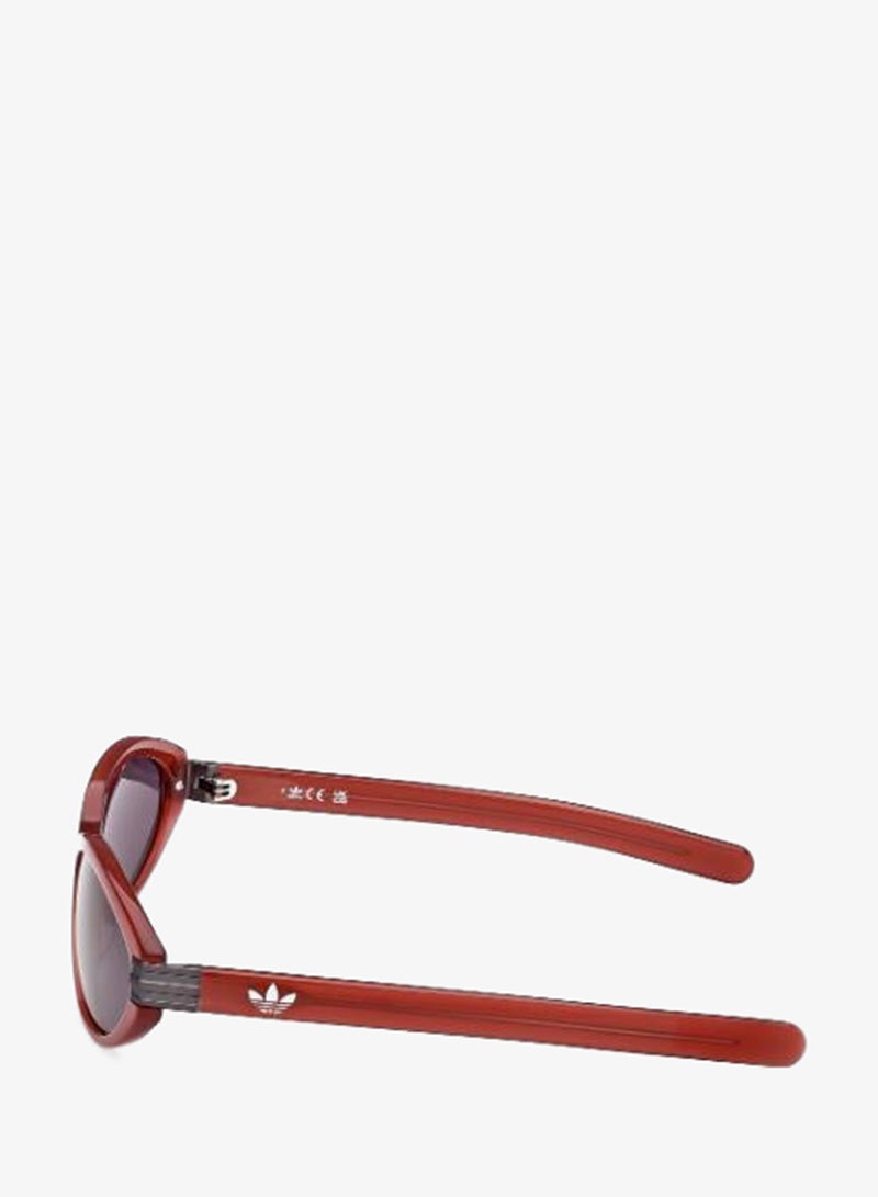 Adidas Wayfarers Sunglasses - Image 2