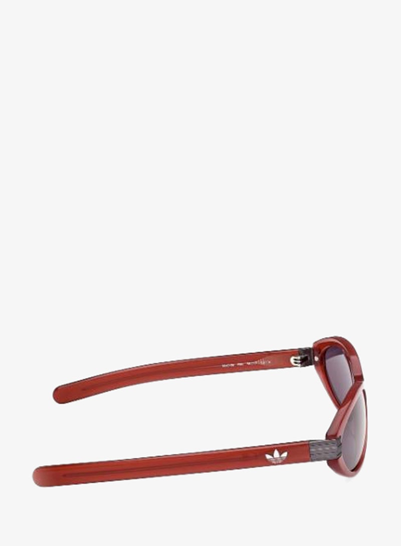 Adidas Wayfarers Sunglasses - Image 4