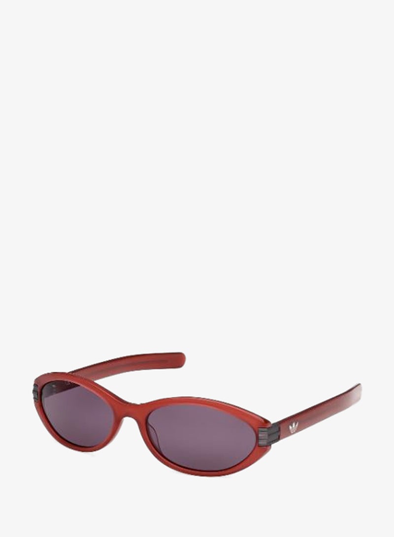 Adidas Wayfarers Sunglasses - Image 1
