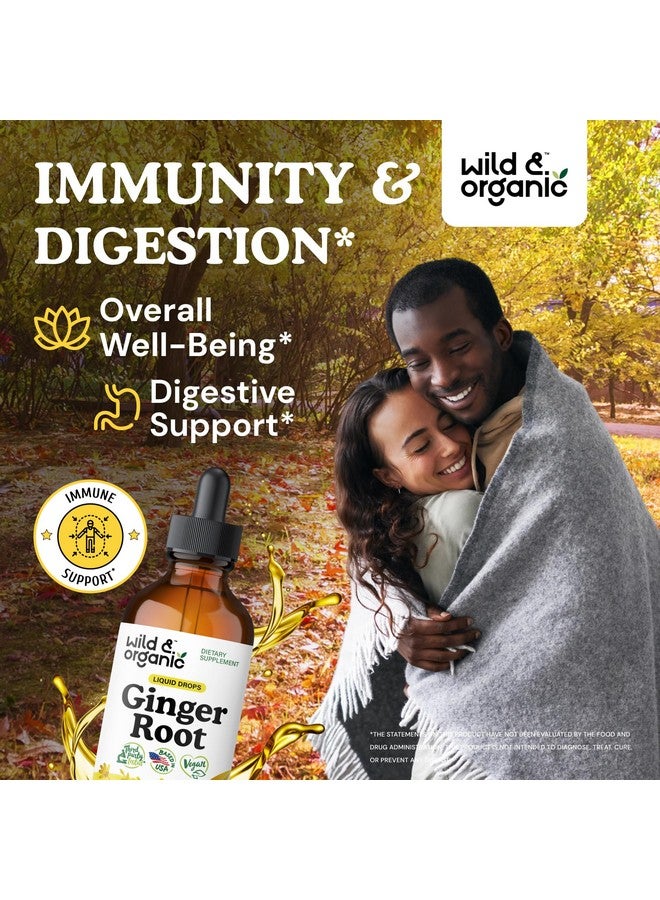 وايلد اند اورجانيك قطرات مستخلص جذر الزنجبيل البري والعضوي - دعم المناعة والجهاز الهضمي - مكملات الزنجبيل السائلة - صبغة نباتية وخالية من السكر والكحول - 4 أونصة سائلة - Image 2