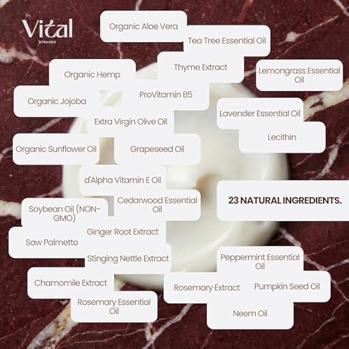 Vital Strands Natural Hair Conditioner for Women (8 fl oz) - Acondicionador para Cabello - 23 Premium Ingredients, Silicone & Sulfate Free Formula with Aloe Vera, Jojoba, Neem, Rosemary - Image 2