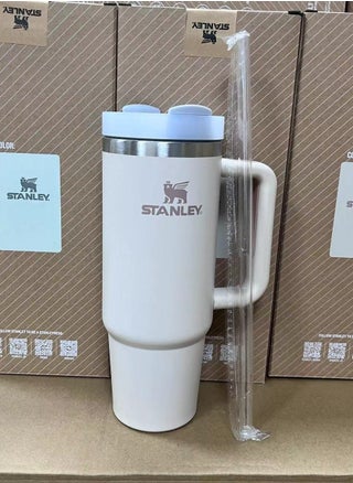 Stanley Quencher H2.0 FlowState Stainless Steel Vacuum Insulated Tumbler with Lid  30oz/850ml - pzsku/Z7BBD54EB25902AE6EBDAZ/45/_/1718248009/5fb4169a-a0ce-4d79-a6b8-c1d83c0e044e