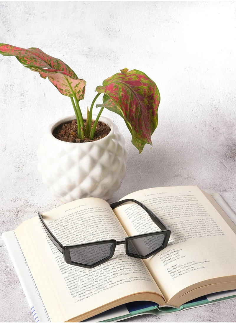 Haute Sauce Grey Lens Black Other Sunglasses