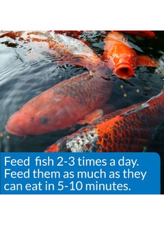 API Pond Cool Water Food Pond Fish Food 1.40Pound Bag  - Image 4