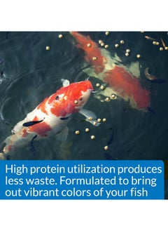 API Pond Cool Water Food Pond Fish Food 1.40Pound Bag  - Image 5