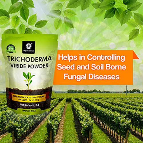 OrganicDews مسحوق تريكوديرما فيريدي العضوي 1 كجم (2 × 10^8 وحدة تشكيل مستعمرة لكل جرام) للنباتات - 1 كجم - Image 2