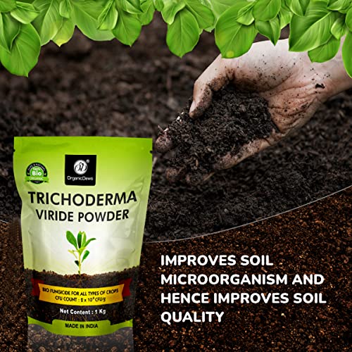 OrganicDews مسحوق تريكوديرما فيريدي العضوي 1 كجم (2 × 10^8 وحدة تشكيل مستعمرة لكل جرام) للنباتات - 1 كجم - Image 4
