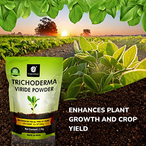 OrganicDews مسحوق تريكوديرما فيريدي العضوي 1 كجم (2 × 10^8 وحدة تشكيل مستعمرة لكل جرام) للنباتات - 1 كجم - Image 3