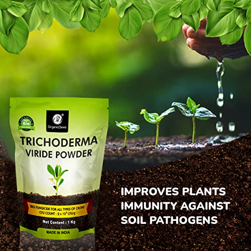 OrganicDews مسحوق تريكوديرما فيريدي العضوي 1 كجم (2 × 10^8 وحدة تشكيل مستعمرة لكل جرام) للنباتات - 1 كجم - Image 5