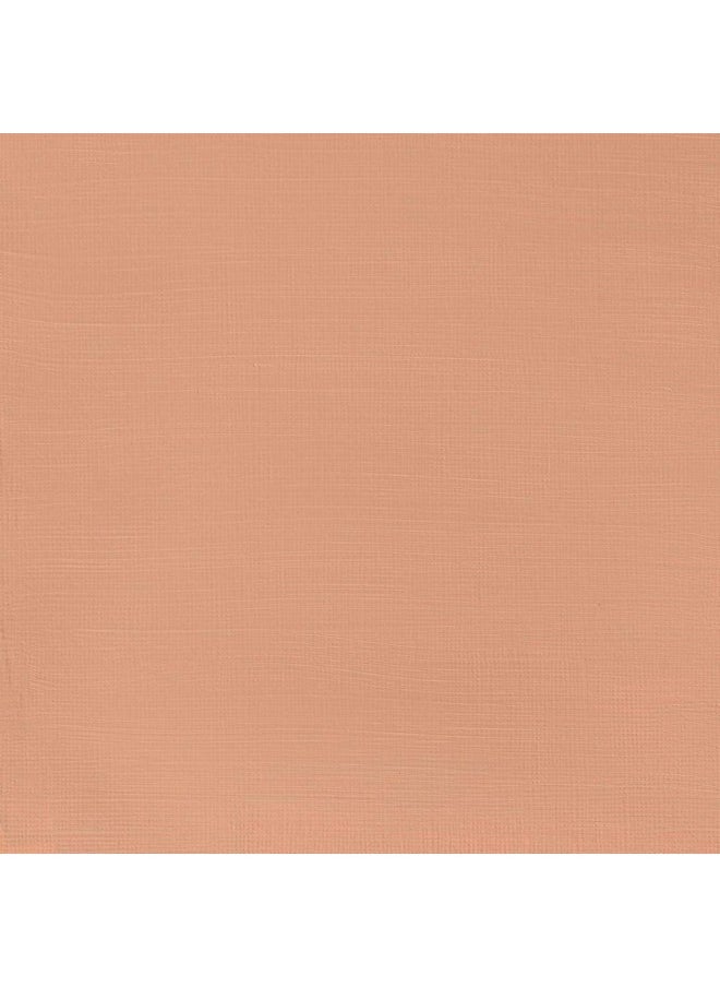 WINSOR & NEWTON Galeria Acrylic Colour - Tube Of 60 Ml - Pale Terracotta (437)  - Image 2