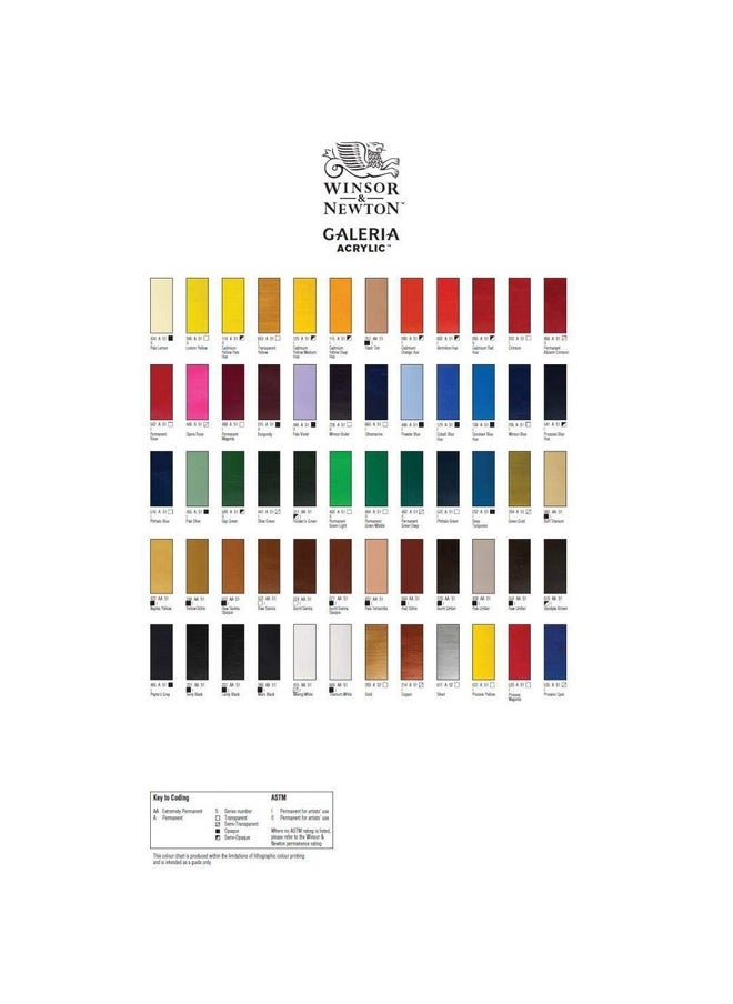 WINSOR & NEWTON Galeria Acrylic Colour - Tube Of 60 Ml - Pale Terracotta (437)  - Image 4